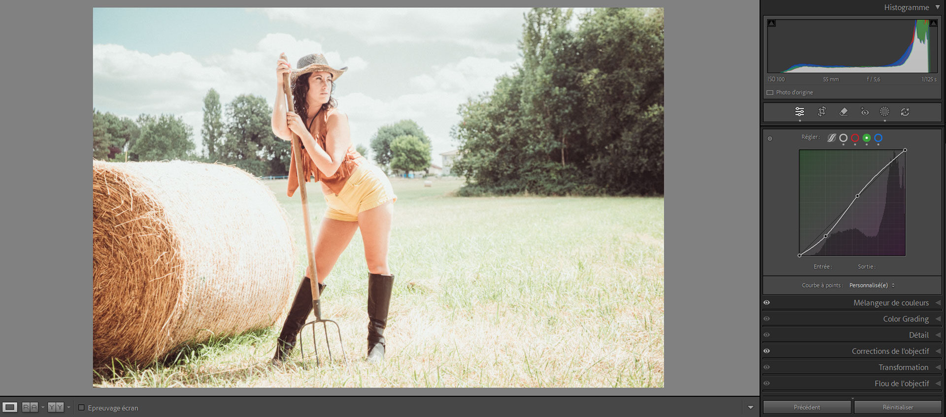 argentique lightroom