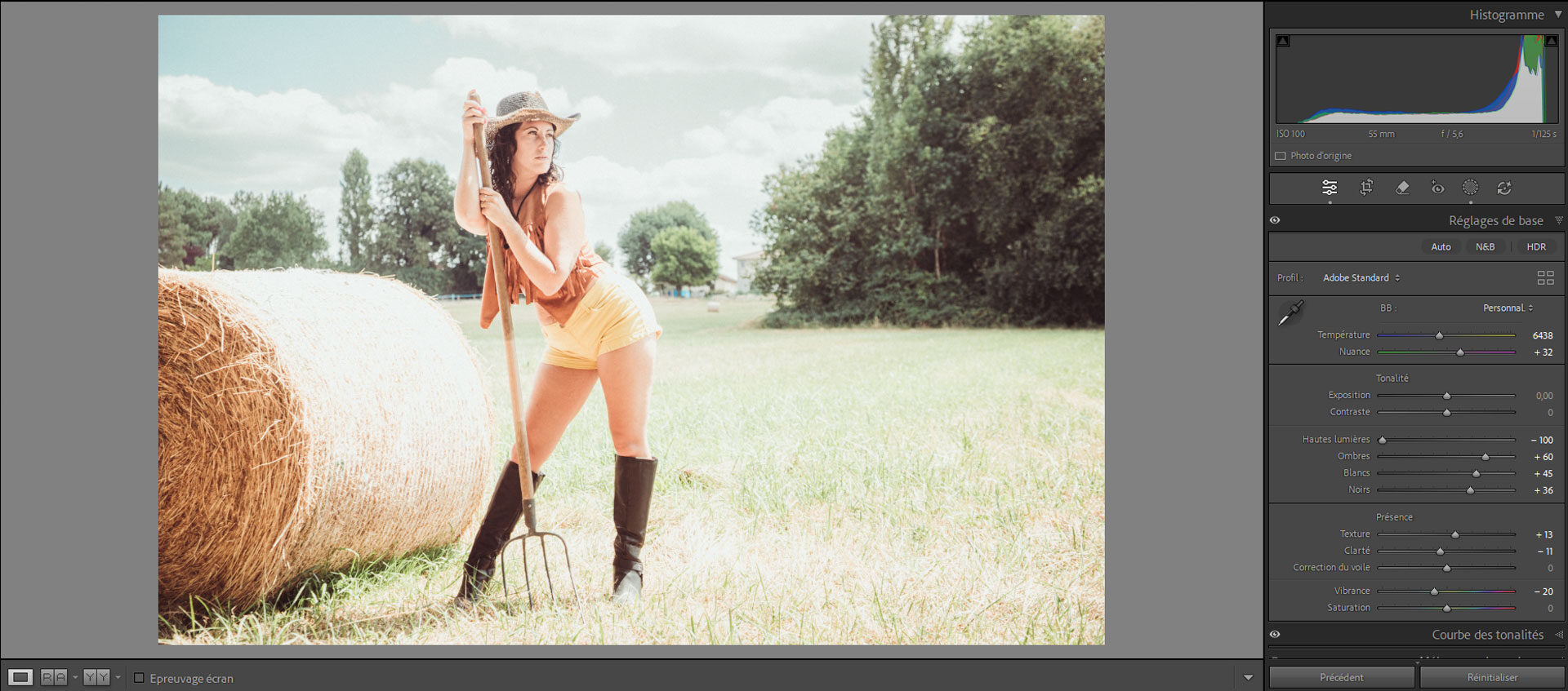 Effet argentique lightroom : Créez un Look Vintage 2025